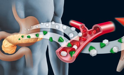 Reduced growth hormone receptor signalling improves insulin signalling within the body.